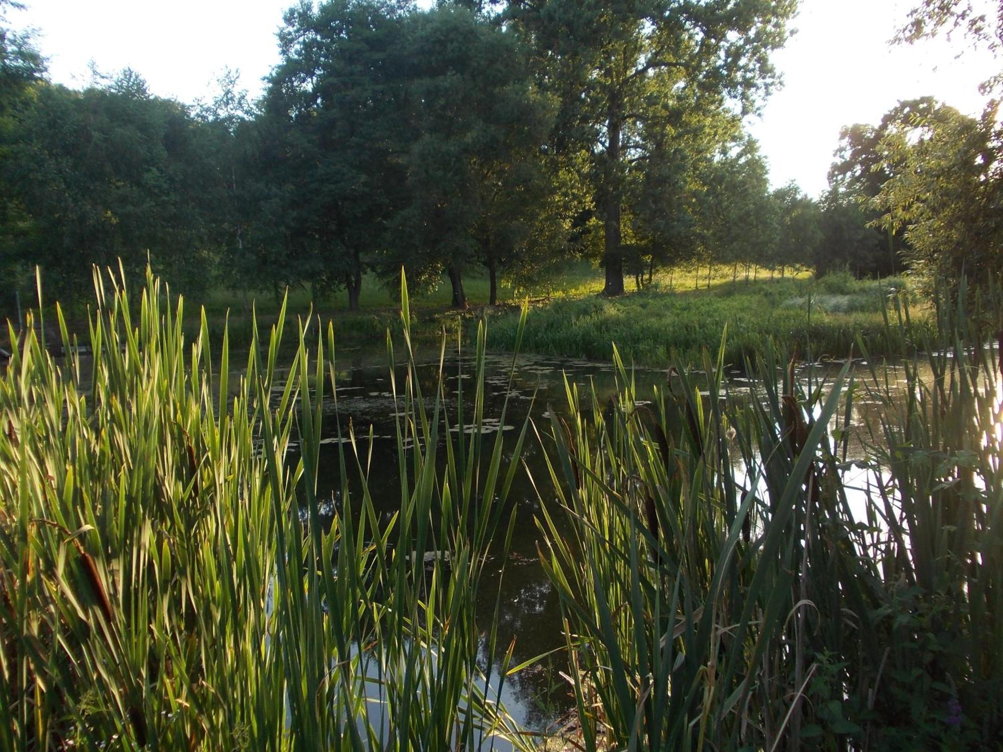 Vila Wisniowy Mlyn Wisniowa k Staszowa Exteriér fotografie